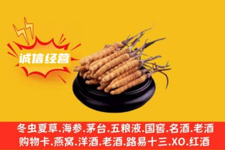 南充嘉陵区回收冬虫夏草